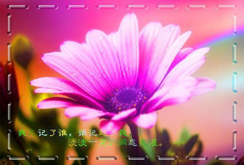 雪团小珂主角的书 手撕室友，我揭开网红博主真面目全文阅读免费