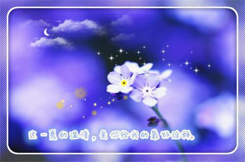 江煜林婷江念小说免费试读 江煜林婷江念第3章