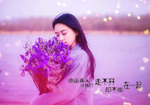 萌萌小雯小说目录 萌萌小雯完整免费版阅读