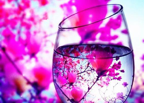 黎清浅沈长昀（黎清浅沈长昀）全文免费阅读无弹窗大结局_黎清浅沈长昀小说黎清浅沈长昀最新章节列表(黎清浅沈长昀）