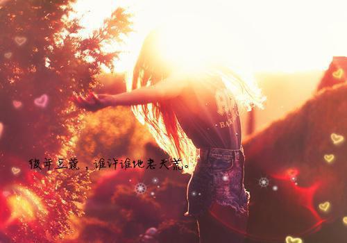 纪明遥魏清越小说 纪明遥魏清越全文免费阅读