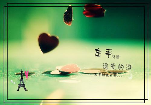 顾之京江蓠李知沐是什么小说 顾之京江蓠李知沐全本免费阅读