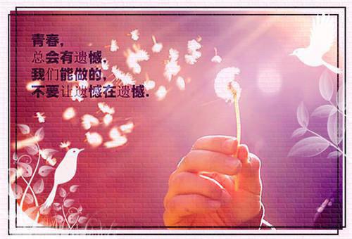 苏汐盛暨箫小说免费阅读全文在线阅读，苏汐盛暨箫的小说在线阅读全文