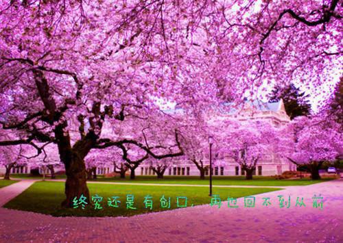 孙笑笑明月免费阅读无弹窗 孙笑笑明月最新章节