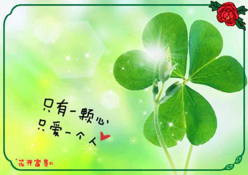 膝上少女全文在线阅读小说全文 赵雷萧婷无删减无弹窗阅读