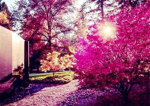 再选一次小说最新章节 程茵徐霜白程妍结局是什么