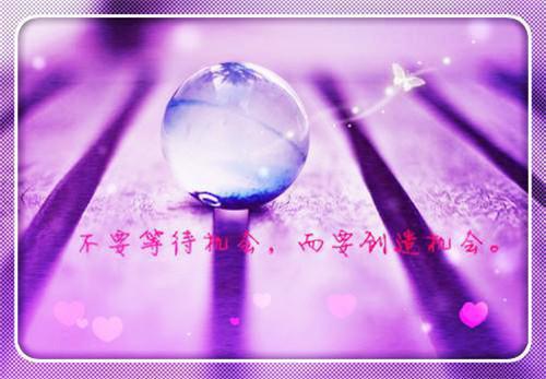 重活一世我借种诞下了混沌神凤风桦霓羽云邈飞鸢完整版小说全文章节app内免费阅读