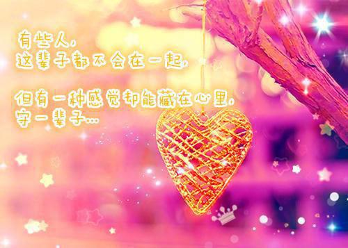 柳沫沫小说 柳沫沫完整版免费阅读