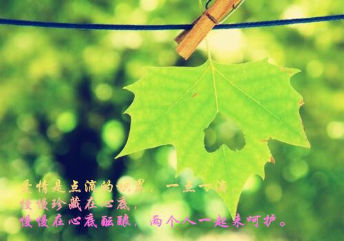 岑总，你昨天说过的话还算数吗？（岑北壑郁妩璃小说）全文在线阅读无弹窗大结局_（岑北壑郁妩璃小说）岑总，你昨天说过的话还算数吗？在线阅读无弹窗最新章节列表