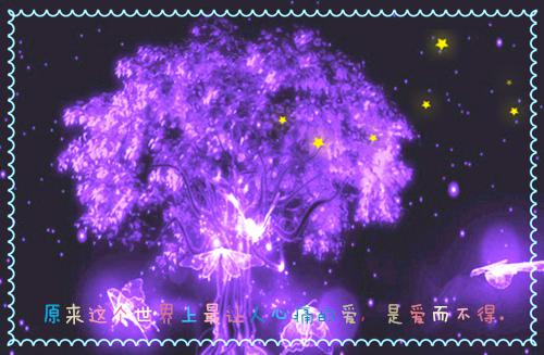 沈宴西宋曼徐佳宁小说免费 沈宴西宋曼徐佳宁第4章在线阅读