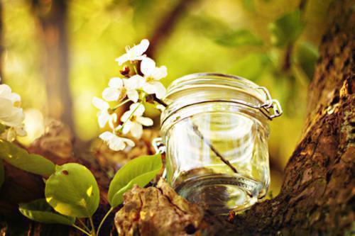 舒安悦纪衍年全文免费阅读最新 舒安悦纪衍年第4章