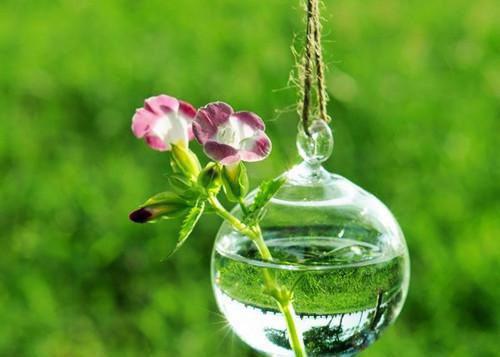 苍牧免费全文无弹窗 狂欢恋爱日小说在线阅读