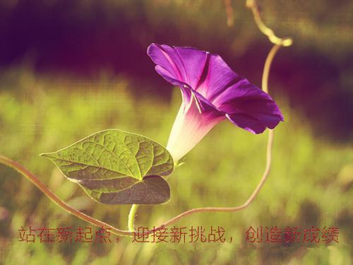 爷爷私藏的取名秘术小说完整版 爷爷在线阅读