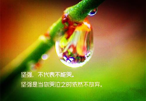 沈翊安刘诗雨李柏彦小说 沈翊安刘诗雨李柏彦免费章节阅读