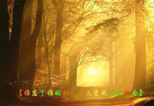 罗雨熙王子龙江天暮完整版 罗雨熙王子龙江天暮小说全文在线阅读