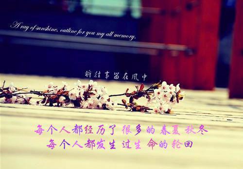 周子文小宁小说 周子文小宁完整版免费阅读