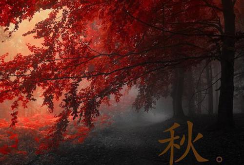 许铭轩周舟小说全文 许铭轩周舟小说免费阅读大结局