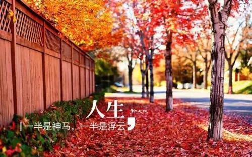 刘浅浅林城魏哲男小说最后结局 刘浅浅林城魏哲男完结版免费阅读