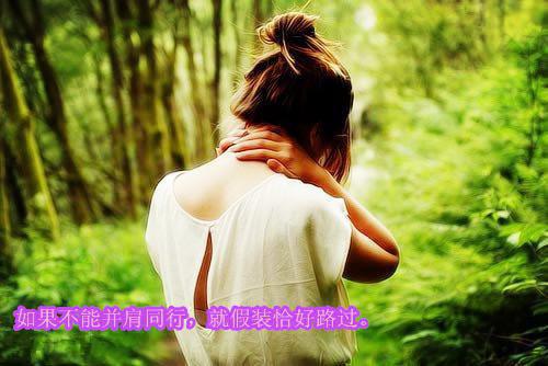 顾明砚洛景川季知安小说在哪里看 顾明砚洛景川季知安在线阅读