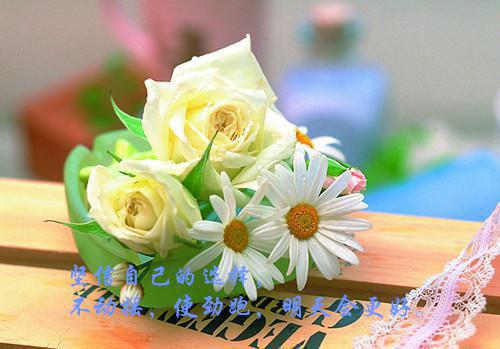 张驰骋陆娇娇最新章节（陆娇娇张驰骋）全文免费阅读无弹窗大结局_张驰骋陆娇娇免费阅读（陆娇娇张驰骋）