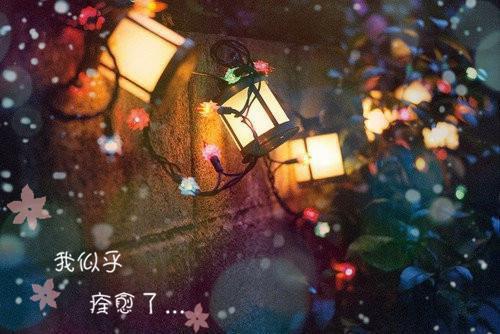 顾俊帝俊免费全本小说 顾俊帝俊章节目录