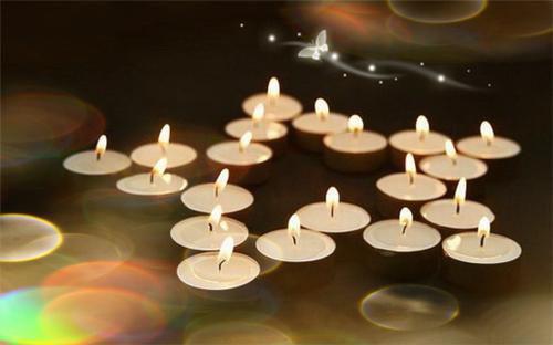 陈彦莎莎小说 陈彦莎莎完整版免费阅读