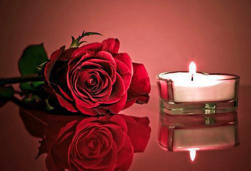 柳悦俞锦辰是啥小说 柳悦俞锦辰免费阅读无广告