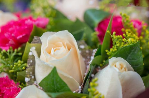 穿书后我和反派夫君在一起了姜然顾淮之顾修竹无弹窗在线阅读全文