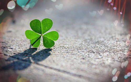 谢婉许曼阿朝小说最后结局 谢婉许曼阿朝完结版免费阅读