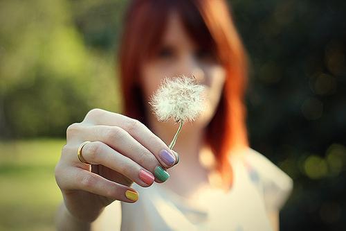 裂谷之下全文免费阅读是和病娇老公离婚了的小说（吴文律陈净）免费阅读_和病娇老公离婚了吴文律陈净小说免费和病娇老公离婚了（和病娇老公离婚了）