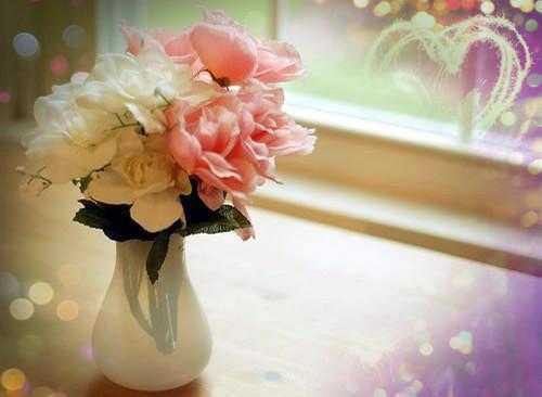 全师门都PUA我，还挖我灵根送绿茶师妹小说(沈柔凌月)章节阅读