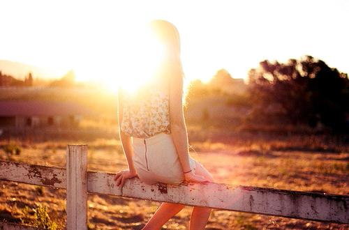 宋枕月谷青窈免费阅读 恋恋绽放全章节无弹窗