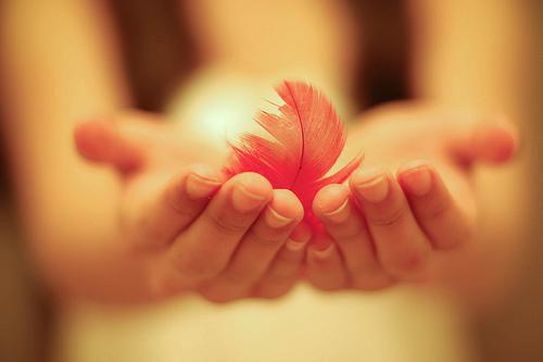 许凯张圆圆全文免费大结局 许凯张圆圆小说在线阅读