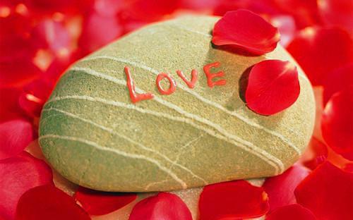 萧岐沈芙沈清云免费阅读 萧岐沈芙沈清云最新章节目录