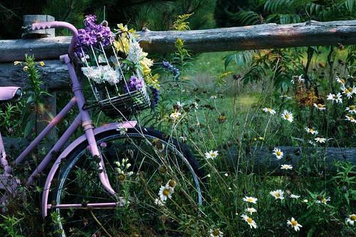 拜托了，冰箱！免费阅读陈染染小说第2章