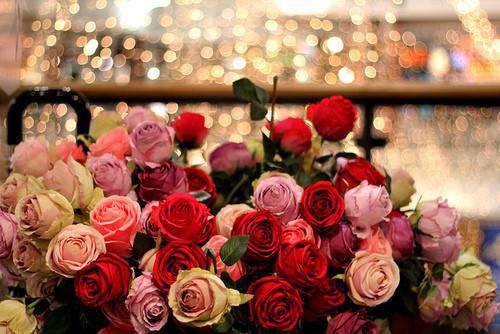 温述乔星越 小说章节免费阅读 温述乔星越 无弹窗