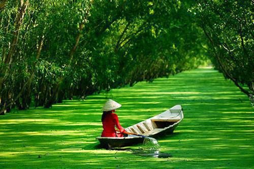 夏归舟贺煜言全文最新章节正版小说免费阅读