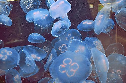 娇妻表妹小说 娇妻表妹啊鸣