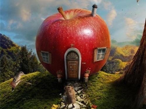 周尧姜纯楚月免费小说 周尧姜纯楚月全文阅读目录