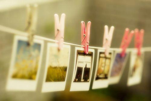 沈书禾许知砚小说最后结局 沈书禾许知砚完结版免费阅读