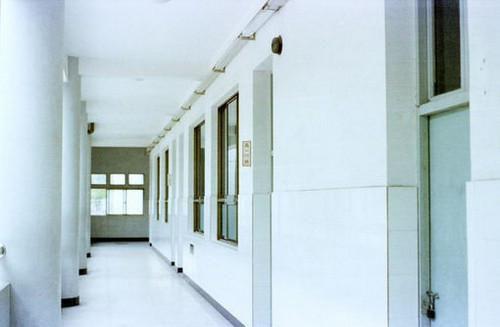 《我临产那天，老公在为照顾白月光的猫》by匿名(路梨庄斯年邹蕊)无广告免费阅读