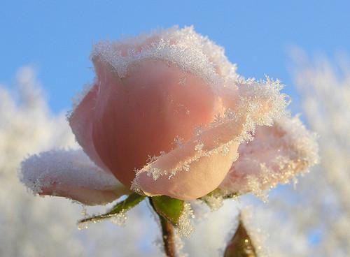 梁恒赵磊完整版 梁恒赵磊小说全文在线阅读