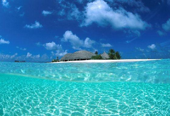 王佳琪王天曜全文免费阅读（暗淡大蒜小说）全文在线王佳琪王天曜读无弹窗大结局_（暗淡大蒜小说王佳琪王天曜）暗淡大蒜小说最新章节列表（王佳琪王天曜）