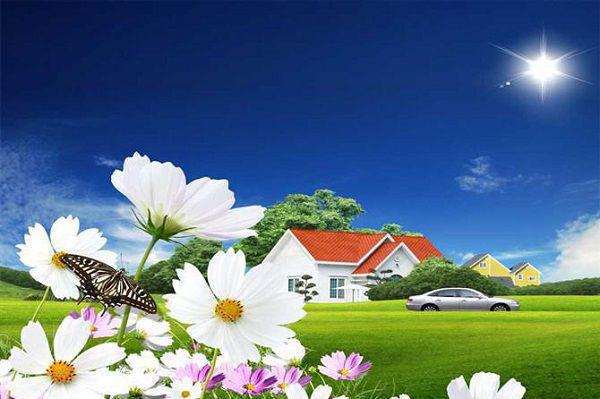 杨嫣杨芜薛宸无弹窗 他等我承宠，我却求嫁他人杨嫣杨芜薛宸全文免费阅读