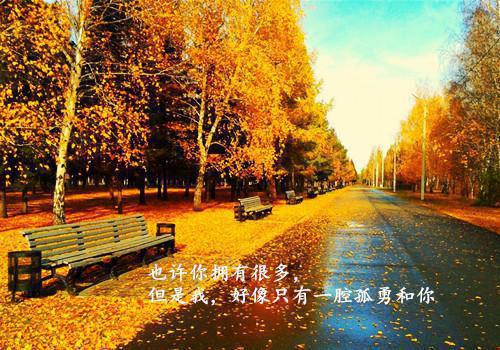 顾浩源是什么小说 顾浩源全本免费阅读