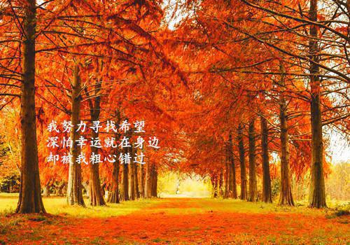 (抖音小说)热夏温琬戴睿明小说全文阅读免费