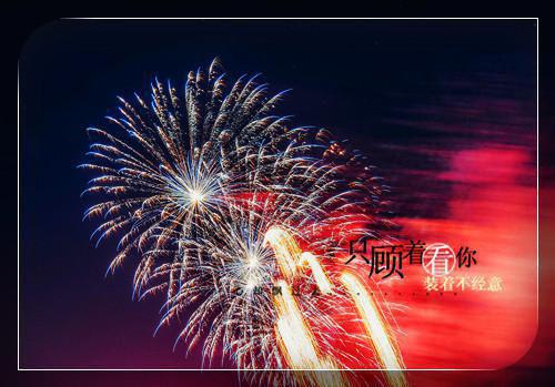 苏向晚陆砚礼（爱在尘埃中绽放结局+番外）全文免费阅读无弹窗大结局_苏向晚陆砚礼最新章节列表（爱在尘埃中绽放结局+番外）