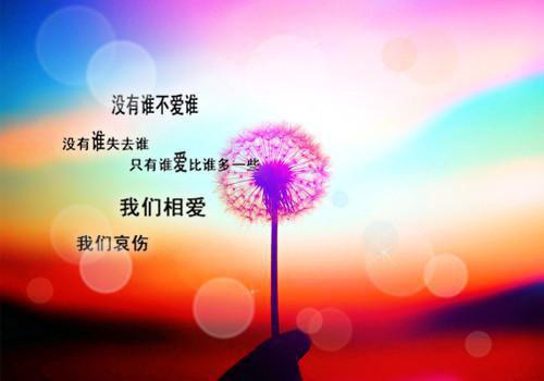 顾灵之顾承泽免费阅读 顾灵之顾承泽最新章节目录