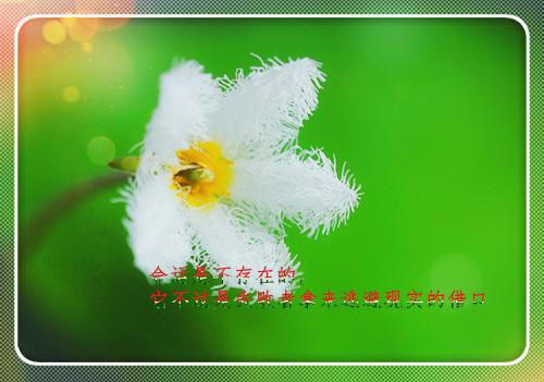 延迟深情小说 陆淮许茗在线阅读