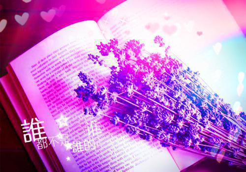 姜小四宫熠小说阅读 姜小四宫熠全文免费无广告